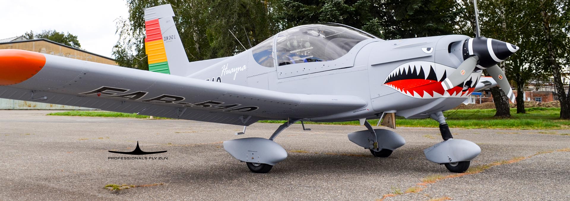 <strong>ZLIN Z 242 L</strong> GURU